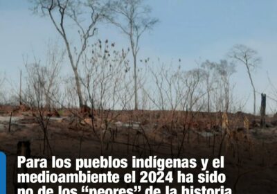 | Alex Villca hace un balance de la gestión 2024 para los pueblos…