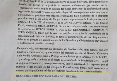 El 30 de septiembre del 2023, 5 jaguares perecieron en caza furtiva promovida por…