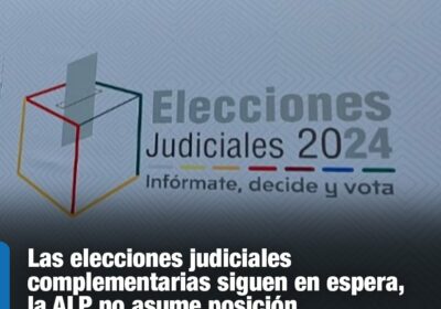 | La Comisión de Constitución de Diputados debe definir si ratificará las listas…