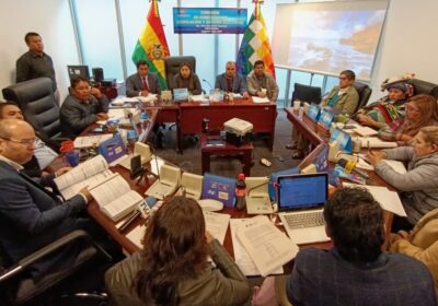 | #Política 𝐂í𝐯𝐢𝐜𝐨𝐬 𝐝𝐞 𝐂𝐡𝐮𝐪𝐮𝐢𝐬𝐚𝐜𝐚 𝐞𝐧𝐜𝐚𝐫𝐠𝐚𝐧 𝐚 𝐁𝐫𝐢𝐠𝐚𝐝𝐚 𝐩𝐚𝐫𝐥𝐚𝐦𝐞𝐧𝐭𝐚𝐫𝐢𝐚 𝐬𝐮𝐦𝐚𝐫 𝐚𝐩𝐨𝐲𝐨 𝐩𝐚𝐫𝐚 𝐫𝐞𝐜𝐡𝐚𝐳𝐚𝐫…