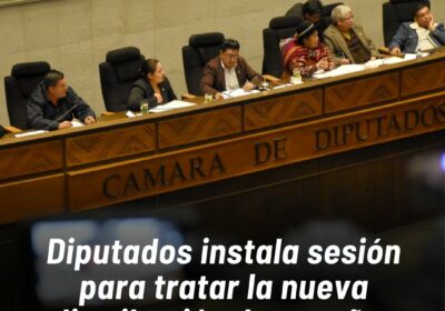 En el orden del día de la sesión de la Cámara de Diputados también…