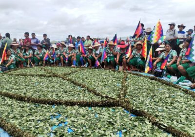 Hoy 11 de enero recordamos el Día Nacional del Acullico reconocido no sólo por…