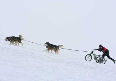 Nevadas en Alemania: el #Brocken brilla bajo el sol Excursionistas disfrutaron de un paseo…