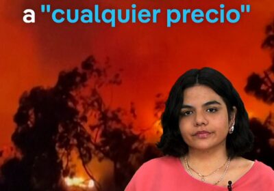 Un millonario de California contrata bomberos privados a cualquier precio para salvar su mansión…