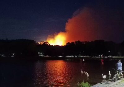 🇦🇷 | AHORA Reportan un significativo incendio forestal en Tandil, sureste de la provincia…