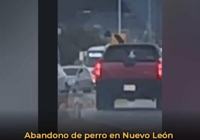 🇲🇽 | EN MÉXICO Un caso de abandono animal en Nuevo León ha desatado…
