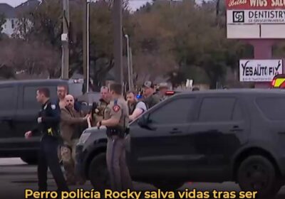 🇺🇸 | HÉROE CANINO Rocky, un perro policía del Servicio de Alguaciles de ,…