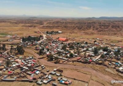 Para mejorar la producción de ovinos, bovinos y camélidos dentro del municipio de Santiago…