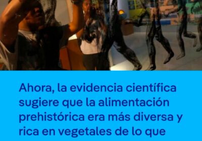 Cae el mito de la dieta paleo