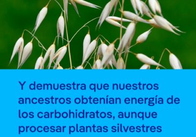Cae el mito de la dieta paleo