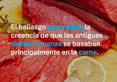 Cae el mito de la dieta paleo