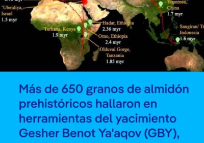 Cae el mito de la dieta paleo