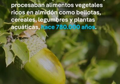Cae el mito de la dieta paleo