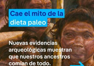 Cae el mito de la dieta paleo La teoría de una dieta prehistórica basada…