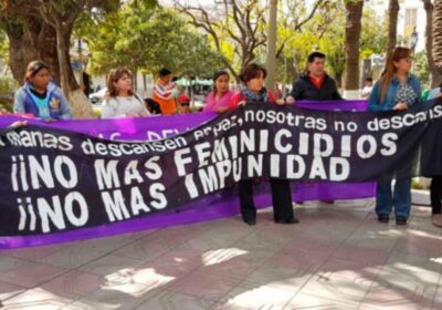 Gobierno no prioriza lucha contra la violencia hacia la mujer y reduce presupuesto…