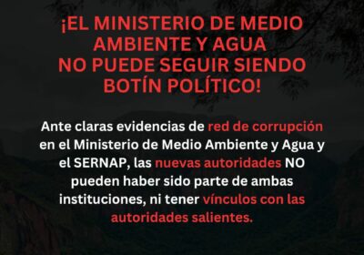 La senadora Cecilia Requena exigió «nombramiento de autoridades del #MMAYA y #SERNAP sin…