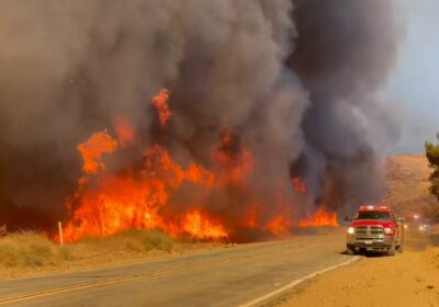 🇺🇸 | URGENTE Imágenes del nuevo incendio forestal masivo en California, desde Lake Hughes…