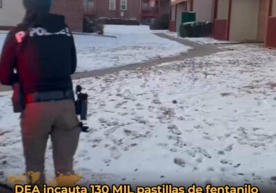 🇺🇸 | En Denver, Colorado, la DEA y otras agencias incautaron aproximadamente 130 mil…