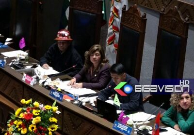 Senado abroga polémica disposición séptima del PGE 2025 referida a la confiscación de productos…