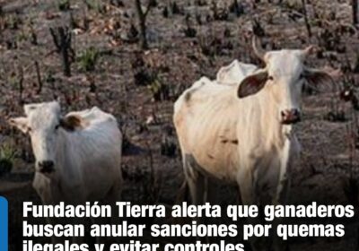 | #Economía El año pasado, los incendios forestales consumieron más de 10 millones…