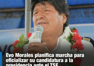 | #Política A la vez, Morales garantizó que participarán en las elecciones generales…