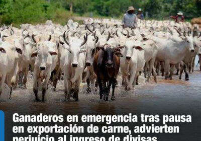 | #Economía Este jueves se llevará a cabo una reunión del sector ganadero…