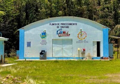 | #Sociedad 𝐆𝐨𝐛𝐞𝐫𝐧𝐚𝐜𝐢ó𝐧 𝐝𝐞 𝐋𝐚 𝐏𝐚𝐳 𝐚𝐝𝐦𝐢𝐭𝐞 𝐟𝐫𝐚𝐜𝐚𝐬𝐨 𝐝𝐞 𝐩𝐥𝐚𝐧𝐭𝐚 𝐩𝐢𝐬𝐜í𝐜𝐨𝐥𝐚 𝐞𝐧 𝐉𝐢𝐧𝐜𝐡𝐚𝐜𝐚…