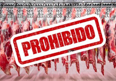 EL ESTADO-TRANCA, TRANCA LA CARNE Al desastre del dólar y los combustibles, se suma…