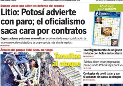 Cuando implementemos las “autonomías económicas”, avanzaremos en la explotación del litio con acuerdos transparentes…