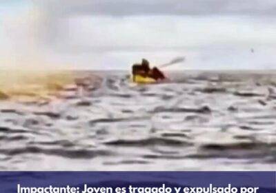 🇨🇱 | Impactante: Joven es tragado y expulsado por una ballena en el Estrecho…