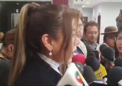 | La viceministra de Comunicación, Gabriela Alcón, aseguró que los contratos de litio…