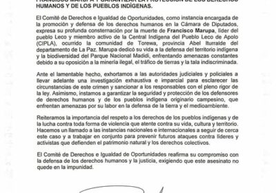 | El Comité de Derechos Humanos de la Cámara de Diputados exhorta a…