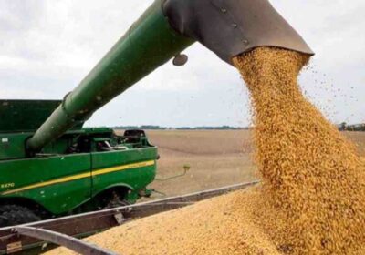 | #Economía 𝐆𝐨𝐛𝐢𝐞𝐫𝐧𝐨 𝐬𝐮𝐬𝐩𝐞𝐧𝐝𝐞 𝐞𝐱𝐩𝐨𝐫𝐭𝐚𝐜𝐢ó𝐧 𝐝𝐞 𝐬𝐨𝐲𝐚 𝐲 𝐚𝐬𝐞𝐠𝐮𝐫𝐚 𝐪𝐮𝐞 𝐩𝐫𝐨𝐝𝐮𝐜𝐭𝐨𝐫𝐞𝐬 𝐠𝐚𝐧𝐚𝐧 𝐦á𝐬…