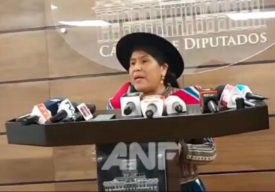 | La diputada Toribia Lero considera que el ministro Del Castillo pretende «desvirtuar»…