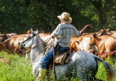 | #Economía 𝐕𝐢𝐜𝐞𝐦𝐢𝐧𝐢𝐬𝐭𝐫𝐨 𝐝𝐢𝐜𝐞 𝐪𝐮𝐞 𝐚𝐧𝐚𝐥𝐢𝐳𝐚𝐧 𝐢𝐧𝐢𝐜𝐢𝐚𝐫 𝐩𝐫𝐨𝐜𝐞𝐬𝐨 𝐩𝐞𝐧𝐚𝐥 𝐚 𝐠𝐚𝐧𝐚𝐝𝐞𝐫𝐨𝐬 𝐩𝐨𝐫 𝐚𝐠𝐢𝐨…