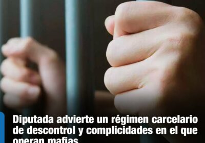 | #Seguridad Uno de los aspectos más alarmantes que denunció la diputada es…