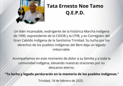 | 𝐅𝐀𝐋𝐋𝐄𝐂𝐄 𝐄𝐗𝐃𝐈𝐑𝐈𝐆𝐄𝐍𝐓𝐄 𝐃𝐄 𝐋𝐀 𝐌𝐀𝐑𝐂𝐇𝐀 𝐈𝐍𝐃Í𝐆𝐄𝐍𝐀 El líder mojeño trinitario del #Beni…