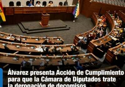 | #Política El Gobierno rechazó que el proyecto de ley busque eliminar otros…