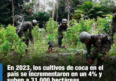 | #Seguridad En 2002, la plantación de la hoja de coca se redujo…
