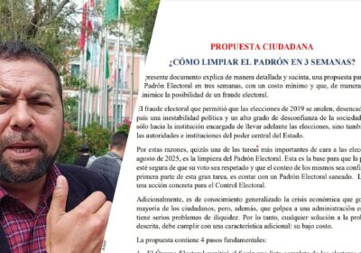 | #Democracia 𝐄𝐥𝐞𝐜𝐜𝐢𝐨𝐧𝐞𝐬: 𝐂𝐢𝐮𝐝𝐚𝐝𝐚𝐧𝐨𝐬 𝐩𝐫𝐞𝐬𝐞𝐧𝐭𝐚𝐧 𝐚𝐥 𝐓𝐒𝐄 𝐮𝐧 𝐩𝐥𝐚𝐧 𝐩𝐚𝐫𝐚 𝐬𝐚𝐧𝐞𝐚𝐫 𝐞𝐥 𝐏𝐚𝐝𝐫ó𝐧…