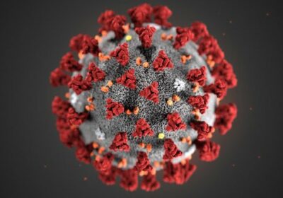 🇨🇳 | LO ÚLTIMO Investigadores de Wuhan hallaron un nuevo virus parecido al COVID-19,…