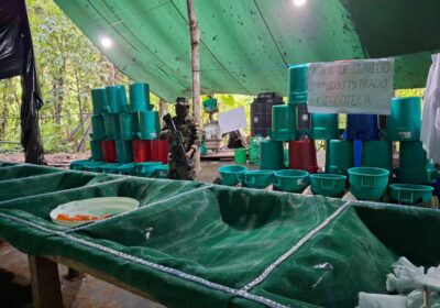 | #Seguridad El viceministro de Defensa Social y Sustancias Controladas, Jaime Mamani, informó…