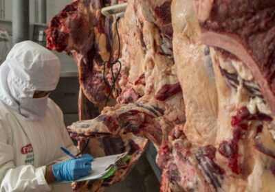 | #Economía 𝐏𝐫𝐞𝐜𝐢𝐨 𝐝𝐞𝐥 𝐤𝐢𝐥𝐨 𝐠𝐚𝐧𝐜𝐡𝐨 𝐝𝐞 𝐜𝐚𝐫𝐧𝐞 𝐬𝐮𝐛𝐢ó 𝐞𝐧 𝟖𝟔% 𝐞𝐧 𝐜𝐮𝐚𝐭𝐫𝐨…