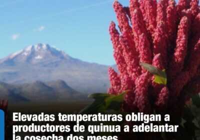 | #Economía Entre los factores que han golpeado la producción, Huarachi mencionó a…