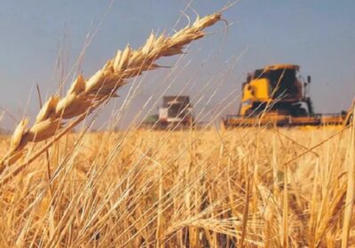 | #Economía 𝐏𝐫𝐨𝐝𝐮𝐜𝐭𝐨𝐫𝐞𝐬 𝐝𝐞𝐦𝐚𝐧𝐝𝐚𝐧 𝐢𝐧𝐜𝐞𝐧𝐭𝐢𝐯𝐨𝐬 𝐲 𝐮𝐧 𝐩𝐫𝐞𝐜𝐢𝐨 𝐦í𝐧𝐢𝐦𝐨 𝐝𝐞 𝐜𝐨𝐦𝐩𝐫𝐚 𝐚 𝐄𝐦𝐚𝐩𝐚…