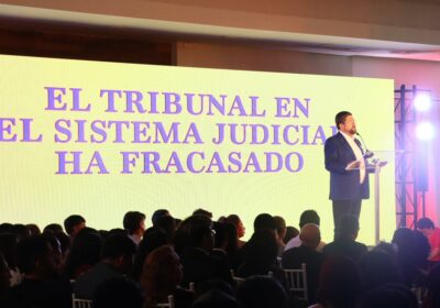 Impulsaré un referendo en el que, además de eliminar la reelección, plantearé al pueblo…