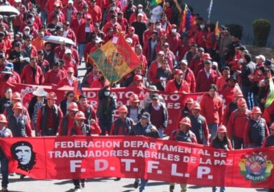 | #Economía 𝐅𝐚𝐛𝐫𝐢𝐥𝐞𝐬 𝐝𝐞 𝐋𝐚 𝐏𝐚𝐳 𝐚𝐝𝐞𝐥𝐚𝐧𝐭𝐚𝐫𝐨𝐧 𝐪𝐮𝐞 𝐩𝐞𝐝𝐢𝐫á𝐧 𝐚𝐥 𝐆𝐨𝐛𝐢𝐞𝐫𝐧𝐨 𝐮𝐧 𝟐𝟎%…