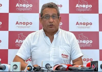 | #Economía 𝐀𝐧𝐚𝐩𝐨 𝐩𝐢𝐝𝐞 𝐚 𝐘𝐏𝐅𝐁 𝐧𝐨 𝐟𝐚𝐥𝐥𝐚𝐫 𝐞𝐧 𝐥𝐚 𝐩𝐫𝐨𝐯𝐢𝐬𝐢ó𝐧 𝐝𝐞 𝐝𝐢é𝐬𝐞𝐥…