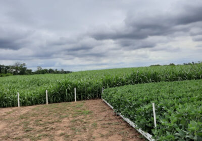 | #Economía 𝐀𝐧𝐚𝐩𝐨 𝐚𝐥𝐞𝐫𝐭𝐚 𝐪𝐮𝐞 𝐬𝐢𝐧 𝐝𝐢é𝐬𝐞𝐥 𝐞𝐬𝐭á 𝐞𝐧 𝐫𝐢𝐞𝐬𝐠𝐨 𝐦á𝐬 𝐝𝐞 $𝐮𝐬…