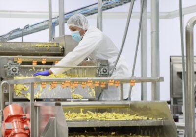 | #Economía 𝐋𝐚 𝐩𝐥𝐚𝐧𝐭𝐚 𝐩𝐫𝐨𝐜𝐞𝐬𝐚𝐝𝐨𝐫𝐚 𝐝𝐞 𝐩𝐚𝐩𝐚 𝐝𝐞 𝐄𝐥 𝐀𝐥𝐭𝐨 𝐫𝐞𝐜𝐮𝐩𝐞𝐫𝐚𝐫á 𝐥𝐚 𝐢𝐧𝐯𝐞𝐫𝐬𝐢ó𝐧…